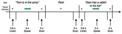 Sexual Dimorphism Within Brain Regions Controlling Speech Production